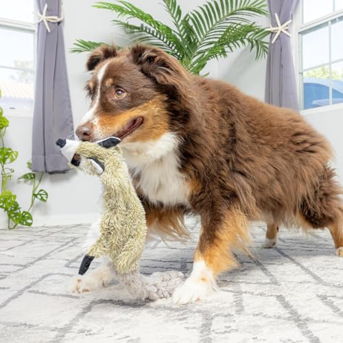 SPOT Skinneeez Raccoon 23 Inch Stuffing-Free Dog Toy – Soft Plush Tug Toy with Two Squeakers for Medium and Large Dogs – Mess-Free Interactive Chew Toy - style: Raccoon
