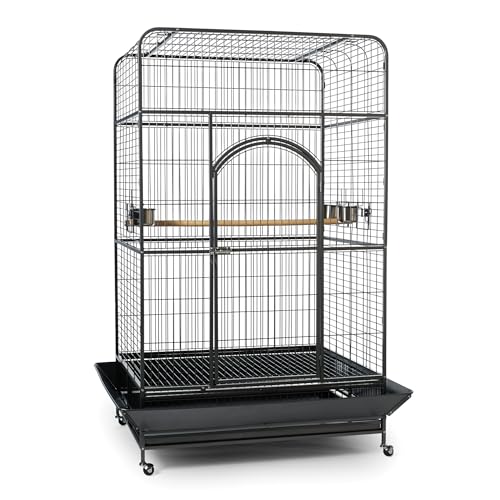 Prevue Pet Products Empire Bird Cage, X-Large, Black Hammertone,46" L x 36" W x 78 1/4" H