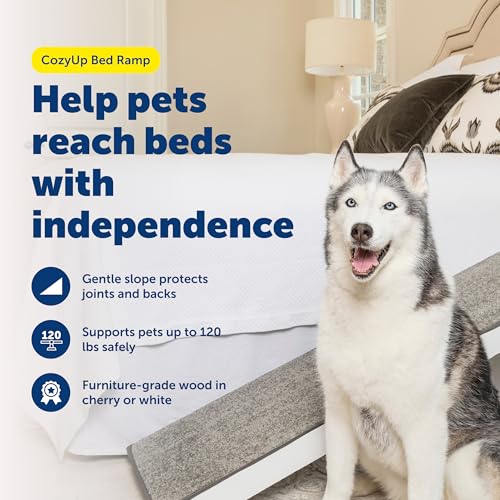 PetSafe CozyUp Wooden Pet Bed Ramp, White | Durable Wood Ramp with High-Traction Carpet Surface, for Small Dogs & Senior Dogs/Cats Up to 120 Lb, 70"L x 16"W x 25"H - color: White