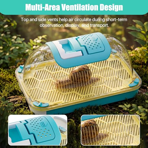 Small Animal Carrier & Insect Carrier with Clear View Lid | Ventilated Habitat Box & Removable Tray for Hamsters, Lizards, Hermit Crabs, Insects, Butterfly Habitat Observation - color: BLUE