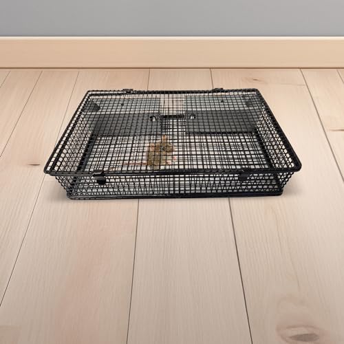 Rugged Ranch Products Mousinator Multi Catch Metal Wire Mouse Trap Cage with 2 Door Entry and Easy to Open Top Lid for Pest Control, Black - color: Mouse, size: 1 Pack