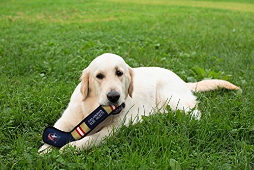 Pets First NHL Columbus Blue Jackets Stick Toy for Dogs & Cats. Play Hockey with Your Pet with This Licensed Dog Tough Toy Reward! , 16 inches long - color: Columbus Blue Jackets, style: NHL Dog Tug Toy
