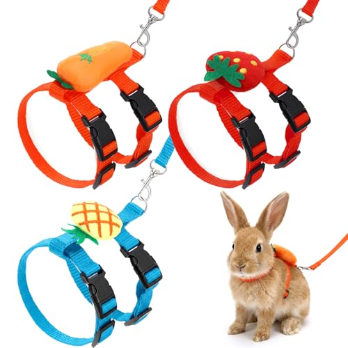 3PCS Adjustable Bunny Rabbit Harness and Leash Set, Small Pet Cute Vest Harness Leash with Decoration, Guinea Pig Harnesses for Ferret, Kitten, Puppy, Rat, Squirrel (Strawberry, Carrot, Pineapple)
