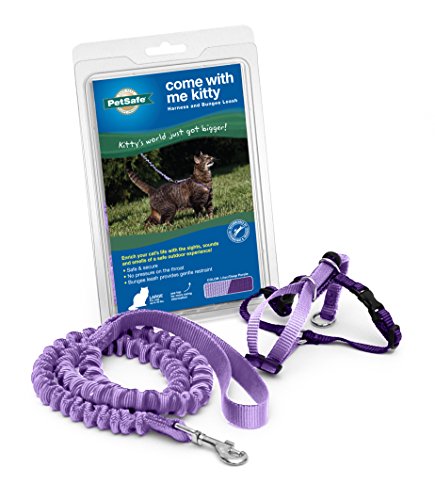 PetSafe Come with Me Kitty Harness and Bungee Cat Leash, Lilac, Small | Adjustable 2-Point Fit Applies Gentle Pressure to Shoulders, Not Neck, for Kittens and Small Cats with 9 in - 11 in Girth - color: Lilac/Deep Purple, size: Small (Pack of 1)