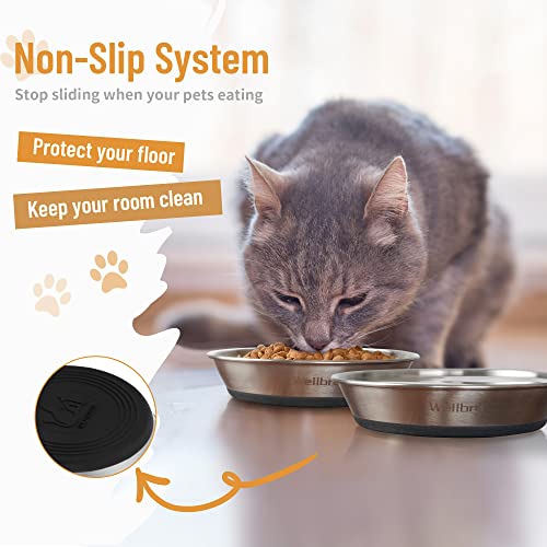 Cat Bowls, 4 Pcs Stainless Steel Pets Bowls for Food and Water, Whisker Fatigue Shallow Non-Slip Cat Dishes Plates for Small Dog Puppies Cats - color: 4 Non-slip Bowls