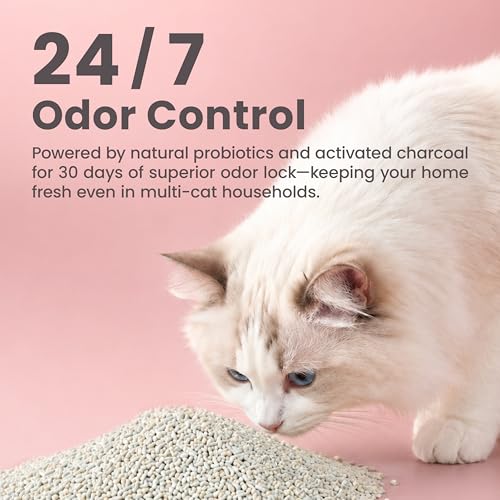 Lady N Tofu Cat Litter, Low Dust Compatible with Auto-Box Unscented 9lb | Mini-Pellet Shape, Strong Clumping, Ultra Absorbent, Activated Charcoal Odor Control - size: 9lb x 1bag
