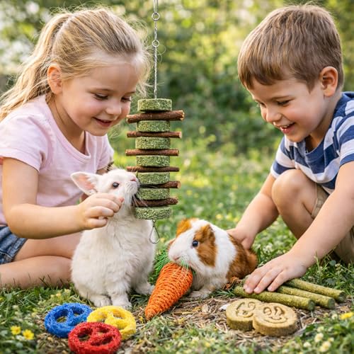 Grddaef 20 PCS Bunny Chew Toys for Teeth, Natural Rabbit Toys Apple Wood Grass Timothy Sticks Chew and Treat for Guinea Pigs Hamster Chinchillas - color: 20 Pcs