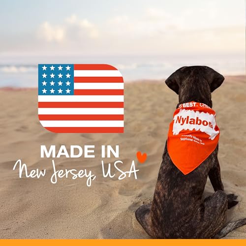 Nylabone Power Chew Textured Bone Dog Toy, Peanut Butter Flavor, X-Large | Durable dog toys, long lasting, discourages destructive chewing, teeth-cleaning texture, flavor throughout, for dogs 50+ lbs - size: X-Large