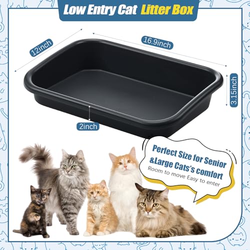 Uiifan 3 Pcs Extra Large Low Entry Cat Litter Box for Senior Kitty Pet Open Top Litter Box for Senior Kitten Handicap Disabled Older Elderly Cats, Easy to Clean(Dark Gray,16.9 x 12 x 3.15 Inches) - color: Dark Gray, size: 16.9 X 12 X 3.15 Inches