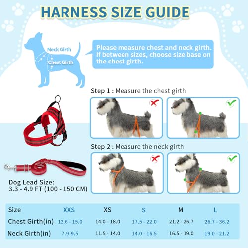 SlowTon No Pull Small Dog Harness and Leash Set with Front Clip | Soft Padded, Neck & Chest Adjustable, Lightweight, Anti-Twist, Puppy Vest Harness Pet Lead Combo for Small Medium Dog, R XXS - color: Red, size: XX-Small