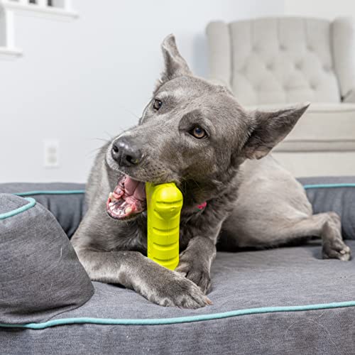 Hyper Pet Fetching Dog Toys - Throwing Bone Toy Made of EVA Foam - Lightweight & Floats on Water