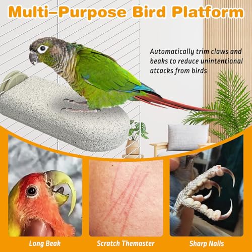 PINVNBY 6 PCS Large Bird Cage Perch Natural Parrot Beak Grinding Stone Calcium Parakeet Chew Toy Bird Stand Platform for Cockatiel Conure Lovebird Finch - color: Grey, size: L, 6 pcs