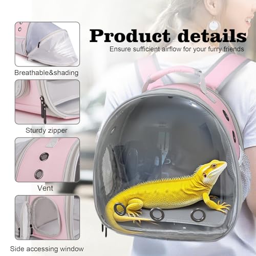 WEVONIGU Expandable Small Animal Backpack Carrier with Clear Bubble Window Large Space Travel Cage for Hedgehog Rat Parrot,Bearded Dragon,Sugar Glider,Airline Approved (Pink, BE Backpack) - color: Pink, size: BE Backpack