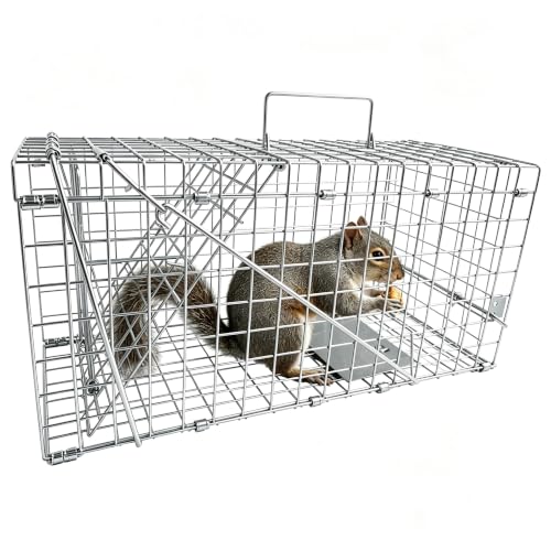 Live Squirrel Trap, Foldable Heavy Duty Humane Animal Cage Trap, Large Rat Trap Cage Catch and Release, Rodent Rabbit Trap for Indoor and Outdoor - 17” L x 7.9” W x 7.5” H
