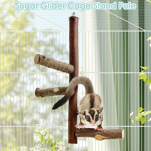Sugar Glider Toy Natural Fruitwood Perch Stand Squirrel Hanging Wooden Climbing Pole Hamster Paw Grinding Perch Small Animal Cage Accessories for Chinchillas Rats Gerbil - color: Applewood - Climbing Perch