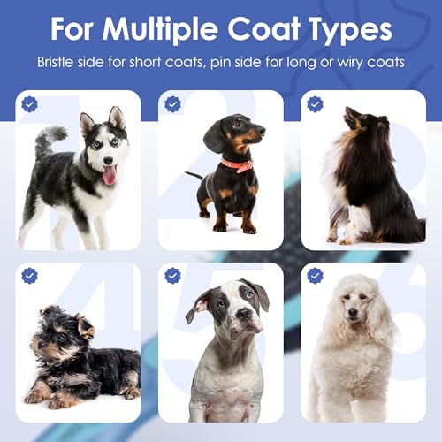 AKC Double-Sided Dog Grooming Brush, Bristle & Pin, Dogs & Cats | Soft bristles and stainless steel pins remove tangles, shedding and loose fur for all coat types. - style: 2-Sided ProBrush