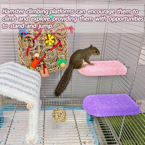 2 Pack Hamster Rat Lava Ledge Platform Teeth Grinding Chewing Toy (L)