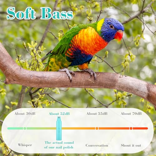 Lasnten 2 Pcs Bird Nail Grinder with Clipper Bird Nail Trimmer File Pet Grooming Tool for Parrot Budgerigars Parakeets Myna Conure Finches Lovebirds (Cyan Blue) - color: Cyan Blue