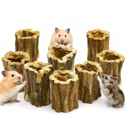 Natural Dried Papaya Block Chew Toys, 8 Pcs Organic Papaya Stump Molar Treats, Healthy Teeth Grinding Chews for Rabbits, Guinea Pigs, Chinchillas, Hamsters, Small Animal Foraging Snack