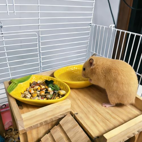 2PCS Hamster Bowl, Hamster Food Dish Ceramic Food Water Feeding Bowl Small Animal Bowls for Gerbil Rat Mice Hedgehog (Corn)