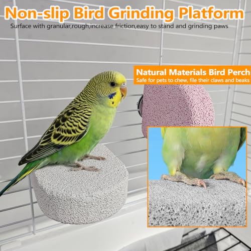 4Pack Bird Perch Stands Parrot Beak Grinding Stone Platform,Color-S | Parakeet Foot Claws Trimmer,Calcium Perch Climbing Chewing Toys for Small Medium Birds Cockatiel Conure Lovebird Budgie - color: 4Pack Colorful | S