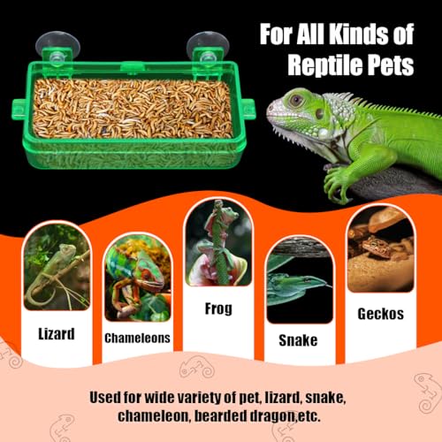 Reptile Suction Cup Feeder 2 Pack, Anti-Escape Food Bowl | for Gecko Lizard Iguana Chameleon Spider Frog Snake, Wall Mount Strong Suction Feeding Dish (Green, M) - color: Green, size: M