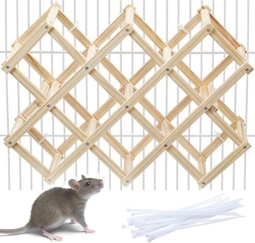 Kiln-Dried Wood Rat Climb Toy, Hanging Cage Ladder Activity (L, 1pc) | Natural Rat Cage Bridge, Multiple Openings & Directional Ramps Offer Challenges to Satisfy Rats' Instincts for Explore & Play - style: L, 1pc