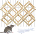 Kiln-Dried Wood Rat Climb Toy, Hanging Cage Ladder Activity (L, 1pc) | Natural Rat Cage Bridge, Multiple Openings & Directional Ramps Offer Challenges to Satisfy Rats' Instincts for Explore & Play - style: L, 1pc