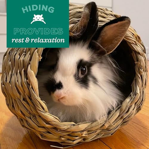 Oxbow Timothy Hay Tunnel, Guinea Pig Hideout, Rabbit & Bunny Tunnel, Edible | Guinea Pig Tunnel, Timothy Club, Timothy Hay, Rabbit Tunnel, Edible, Hand-Woven, Guinea Pig Enrichment, Rabbit Enrichment - color: Green, size: 9.45x7.48x6.10 Inch (Pack of 1)