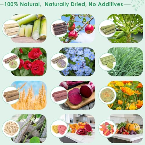 ERKOON 80PCS Bunny Chew Toys for Rabbits Teeth, Natural Rabbit Toys Apple Wood Sticks, Carrot, Timothy Grass Treats for Small Pets, Hamster, Chinchilla, Guinea Pig Dental Care and Treat Teething Toys - size: 80