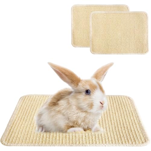 2PCS Large Rabbit Scratching Pad Indoor Edible for Claws and Teeth Grinding Chew Toys, Rabbit Mat for Cages Chew Pad, Rabbit Toys Boredom, Natural Bunny Scratcher pad, Bunny Mat Chew, 16x12