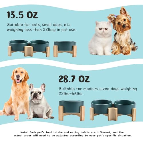 SPUNKYJUNKY 15° Slanted Ceramic Dog and Cat Bowl with Wooden Stand, Tilted Bulldog Food and Water Bowl No Slip Non-Spill for Cats Medium Dogs Big Face Pets 28.7 OZ (3.6 Cups, Green × 2) - color: Green, size: 3.6 CUPS × 2