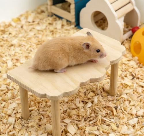 Hamster Platform 2 Pack - Wooden Cage Accessories for Dwarf Syrian Hamsters, Gerbils, Mice, Degus - Extra Large Wood Play Stand, Easy Install
