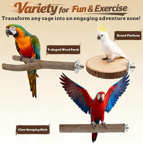 6 PCS Bird Perch Set | Natural Birch Wood, Straight & Forked Perches with Platforms, For Parakeets, Cockatiels, Conures, Lovebirds, Cage Accessories