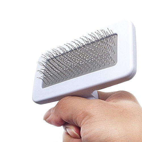 Pet Slicker Brush for Dogs & Cats (Small, Green) | Professional Quality, Coated Pin Tips, Gently Removes Mats & Loose Dead Hair Easily - color: Green, size: Small (Pack of 1)
