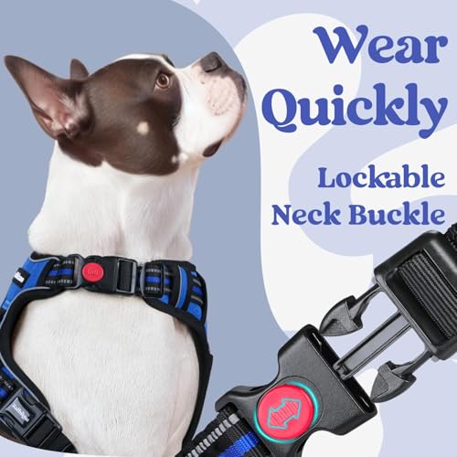 rabbitgoo Dog Harness Small Sized, Updated Easy On & Off with 3 Buckles | No Pull No Choke, Walking with 2 Clips and Handle, Adjustable Soft Reflective, Blue, Small - color: Blue, size: Small