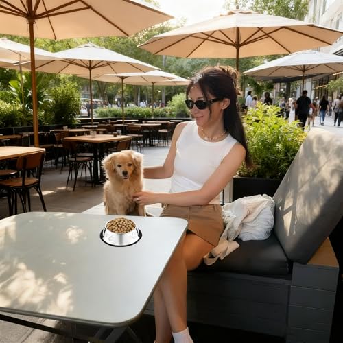 10 Pcs Stainless Steel Dog Bowl Pet Feeding Bowl with Rubber Base Non-Slip Pet Dishes Metal Dog Bowls Pet Food and Water Bowls for Small Medium Animals Kitten Rabbit (10.1 oz) - size: 10.1 oz