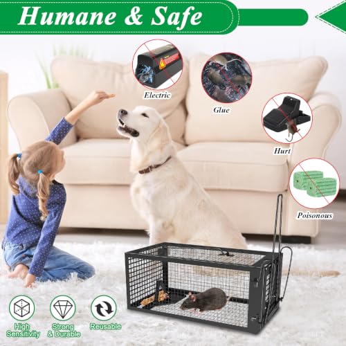 2 Packs Humane Live Mouse Rat Trap Rodent Chipmunk Traps Catch and Release | Black Iron Galvanization, Reusable Safe for Children & Pet Indoor Outdoor - color: Black