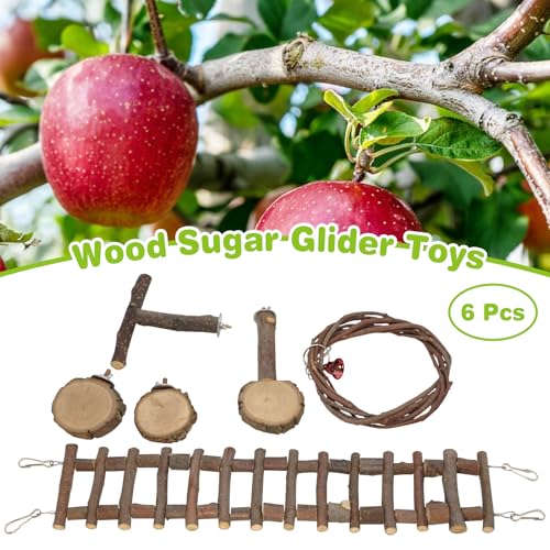 BNOSDM 6PCS Chinchilla Cage Accessories, Natural Wood Sugar Glider Climbing Bridge & Perch Platforms, Rat Enrichment Toys Set for Small Animals Squirrel, Gerbil, Hamster - color: 6PCS-Wooden Ladder & Swing T-Perch Set