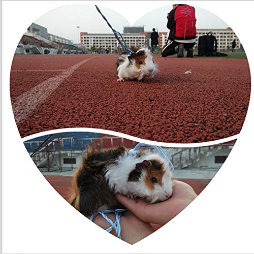 COLIBROX Adjustable Hamster Leash Harness for Rats Ferret Mouse Squirrel Small Animal Pack of 2 COLIBROX