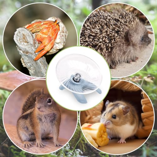 Hermit Crab Exercise Wheel - Silent Running Wheel for Crab Tank Accessories - Small Animal Wheel for Hamster Gerbils Hedgehogs (Blue) - color: Blue