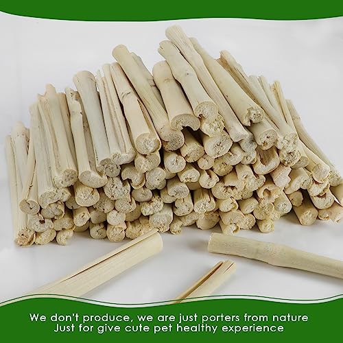BWOGUE 1000g Bamboo Chews for Rabbits, Rabbit Chew Toys Sweet Bamboo Sticks | Pet Snacks, Rabbit Bamboo Chew Sticks, Bamboo Sticks for Rabbits, Bamboo for Rabbits, About 100 Sticks, 4.3 in, Sealed Bag - size: 2.2 Pound (Pack of 1)