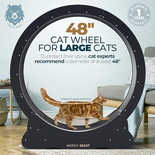 48'' XL Cat Wheel – Safe, Quiet & Stable Exercise Wheel for Large Indoor Cats up to 45 lbs – 15.7'' Extra-Wide Surface Fits 2 Cats Side by Side & Prevents Wobbling, 1-Year Warranty - color: Black