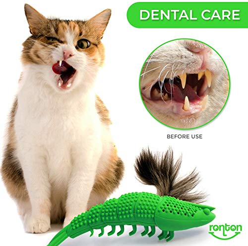 Ronton Cat Toothbrush Catnip Toy - Durable Hard Rubber - Dental Care, Cat Interactive Toothbrush Chew Toy (1 Pack Green (Shrimp) - size: 1 Pack (Shrimp)