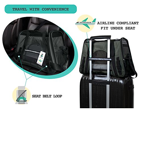 PetAmi Airline Approved Pet Carrier for Cats & Small Dogs, Small, Dark Gray | Soft Sided TSA Travel Bag, Sherpa Bed, Breathable Mesh Ventilation, Collapsible Bowl, Fits Under Seat, Up to 18 lbs - color: Dark Gray, size: Small - 17"L x 10.2"W x 11.2"H