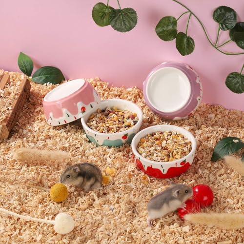 VanEnjoy 2 Pack Hamster Food Bowl Small Ceramic Water Food Bowl for Cage Small Animal Bowls for Hamster Guinea Pig Chinchilla Rabbit - Red and Pink - color: Red and pink