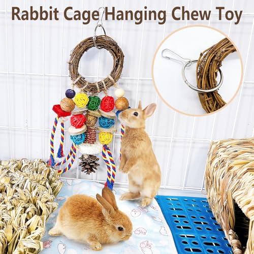 Bunny Chew Treats Toy for Teeth, 2PCS Rabbit Cage Hanging Chew Toys and Rattan Ring with Snack,Natural Material Chinchilla Treats Toys for Guinea Pig Gerbils Hamster Rat Teeth Grinding - color: 2PCS Classic