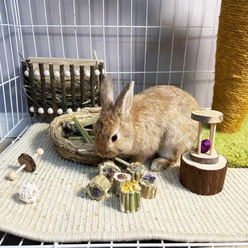 Rabbit Chew Toys for Teeth Guinea Pig Treats Papaya Wood for Bunny (7oz) | bunny supplies,rabbit enrichment toys,rabbit stuff,rabbit toys for bunnies boredom,for bunny guinea pig chinchilla Hamster - size: 7.05oz（Combination）