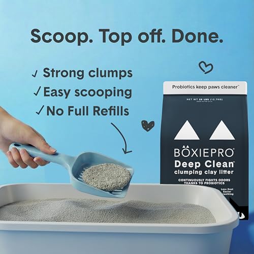 Boxie Probiotic Clumping Cat Litter 40+ Day Odor Control Dust Free 28 lb - size: 28 Lb
