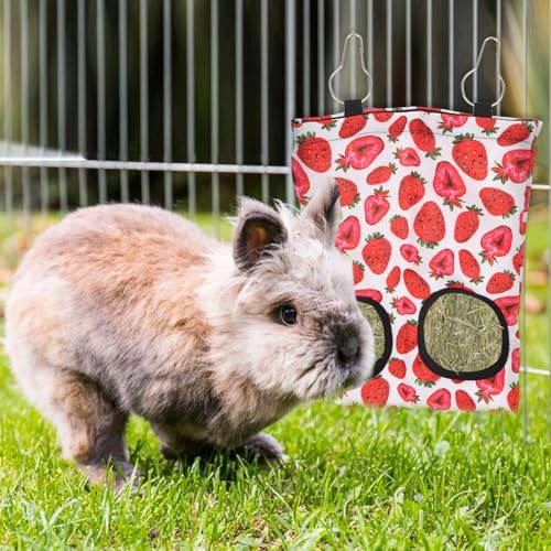 ABTOLS 2PCS Rabbit Hay Feeder Bags, Hanging 2 Hole Hay Feeder for Guinea Pigs Chinchillas Hamsters Red Green Strawberry Avocado Bunny Small Animal Pet Cartoon Hay Bag - color: green